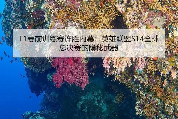 sai-qian-xun-lian-sai-lian-sheng-nei-mu-ying-xiong-lian-meng-quan-qiu-zong-jue-sai-de-yin-mi-wu-qi-2-311.jpg