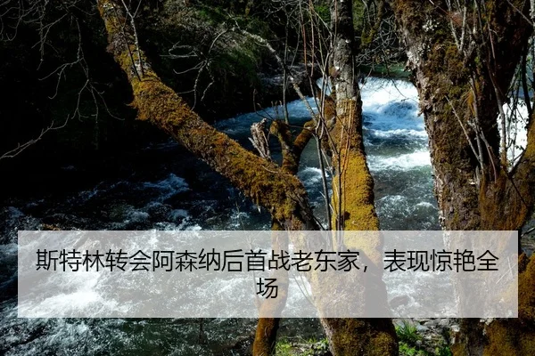 斯特林转会阿森纳后首战老东家，表现惊艳全场