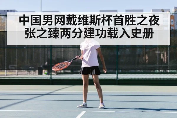 中国男网戴维斯杯首胜之夜张之臻两分建功载入史册